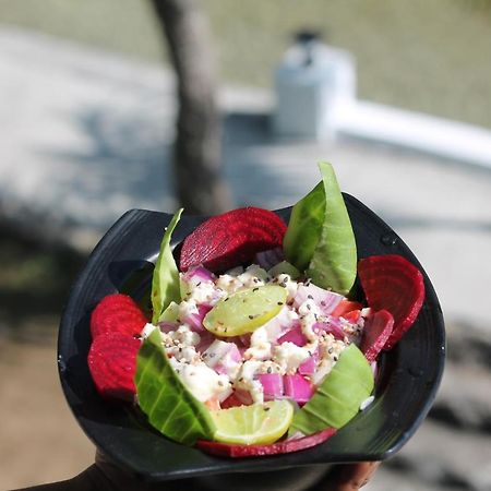 Shivanjal Wellness And Accommodation Rishīkesh Buitenkant foto
