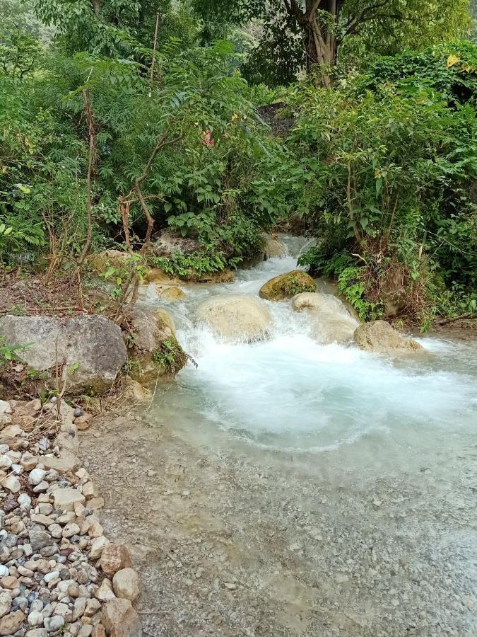 Shivanjal Wellness And Accommodation Rishīkesh Buitenkant foto