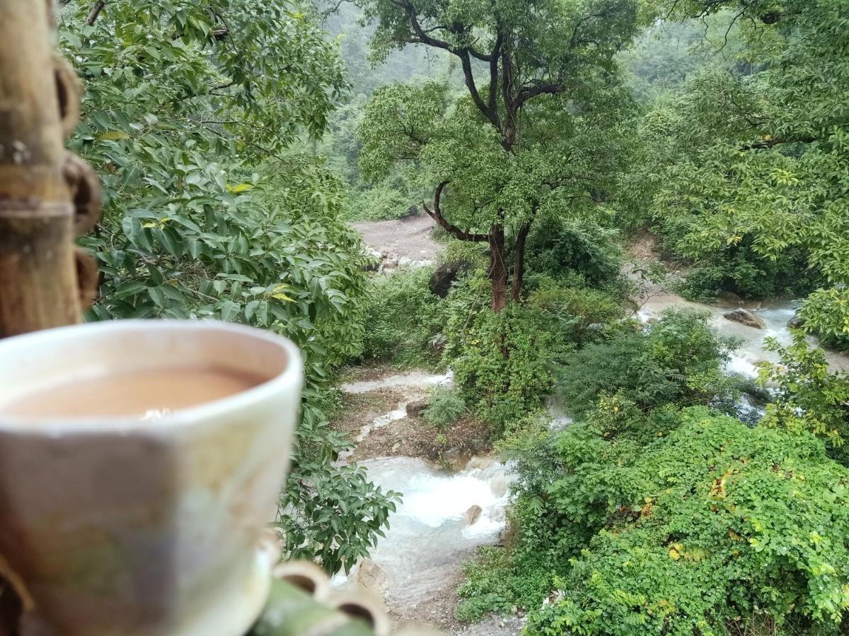 Shivanjal Wellness And Accommodation Rishīkesh Buitenkant foto